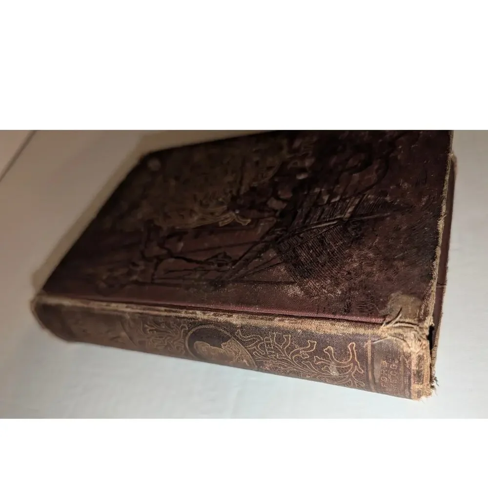 Antique 1890 Down the Bay Joe and I on Salt Water Belford Clarke HC Book
